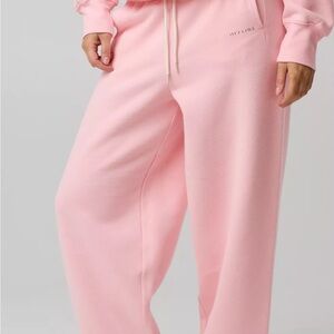 Offline by Aerie Cloud Fit NWT XL PINK